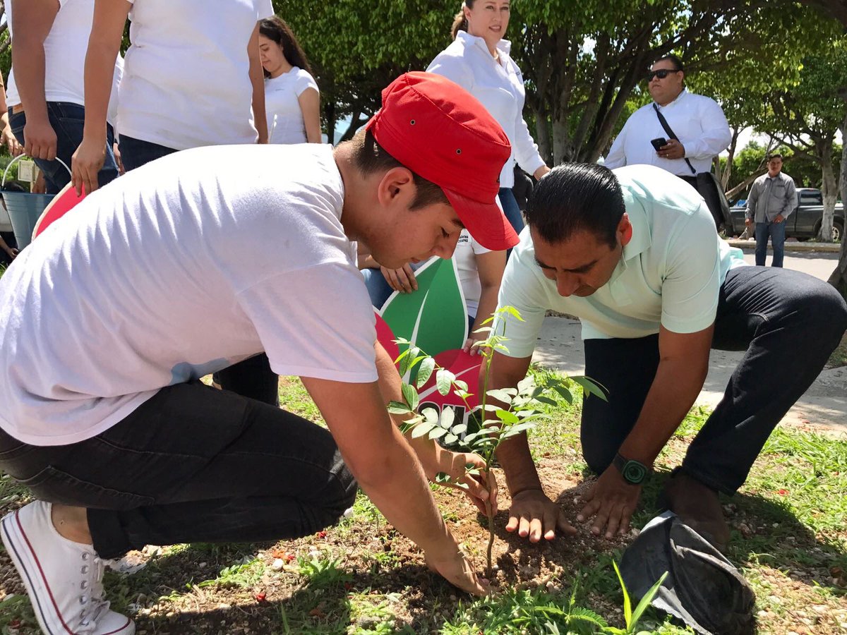 OmachChiapas's tweet photo. Sembrar un árbol es sembrar Vida. Realizamos campaña de Reforestación en Tuxtla Gutiérrez con @ramirezlalo_  @Viridiana_Fig @dulcerod75 https://t.co/zzVPsO5chH