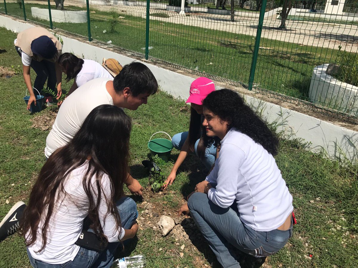 OmachChiapas's tweet photo. Sembrar un árbol es sembrar Vida. Realizamos campaña de Reforestación en Tuxtla Gutiérrez con @ramirezlalo_  @Viridiana_Fig @dulcerod75 https://t.co/zzVPsO5chH
