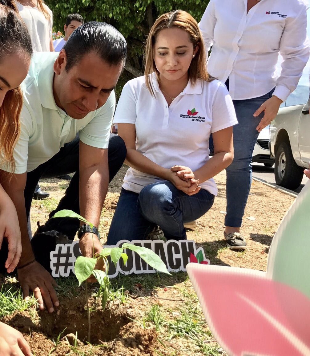 OmachChiapas's tweet photo. Sembrar un árbol es sembrar Vida. Realizamos campaña de Reforestación en Tuxtla Gutiérrez con @ramirezlalo_  @Viridiana_Fig @dulcerod75 https://t.co/zzVPsO5chH