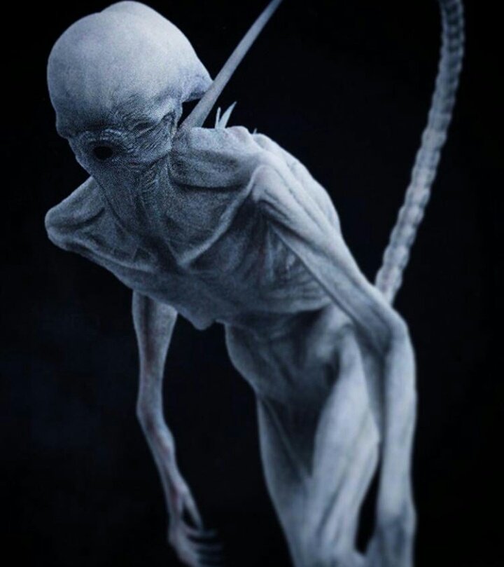 necacollector's tweet photo. @abox_subscribe do you think we can get a bit of a tease of what the replica is? Im really hoping that it's a lifesize neomorph head or baby https://t.co/l2iAJG8clL