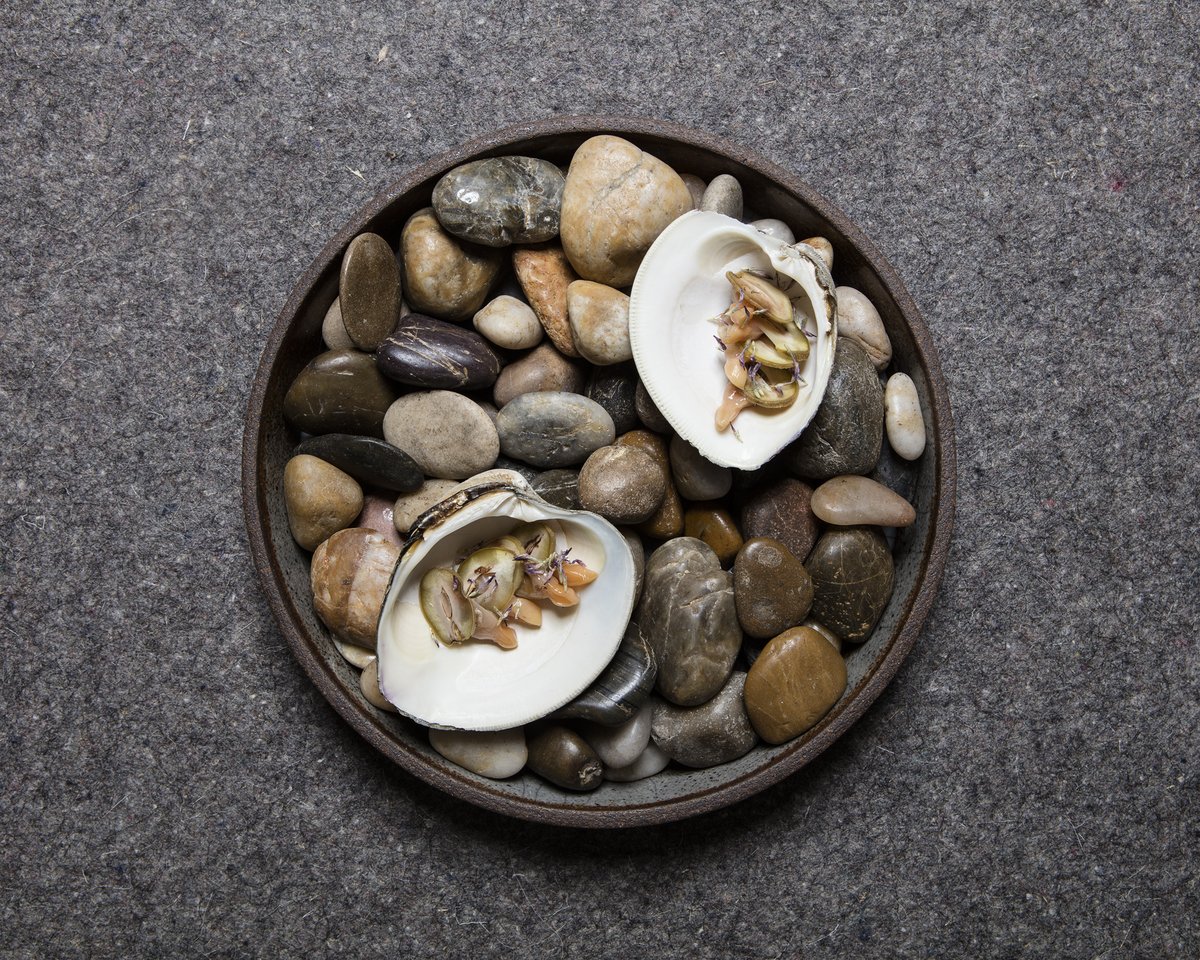 Edmonton's <a href="/alderroom/">Alder Room</a> is the hottest ticket in town—in lieu of reservations, prepaid tickets grant entry: bit.ly/2r25lbw