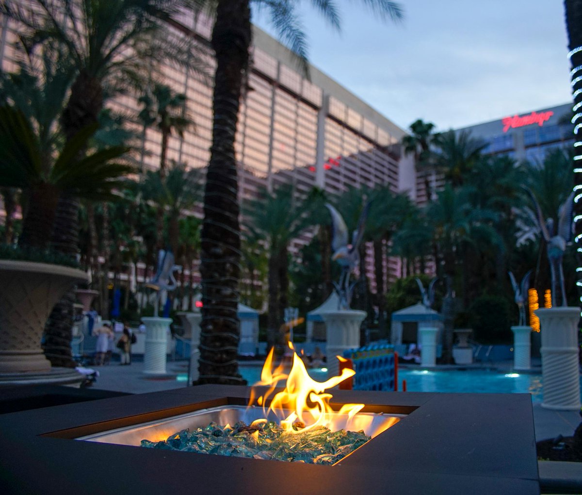 FlamingoVegas's tweet photo. Hang out before you go out at our #BeachClub at night pool party every Wednesday 7pm-12am. #BCNight
https://t.co/RQhQeW4KYZ https://t.co/Vl0Skv7m0a
