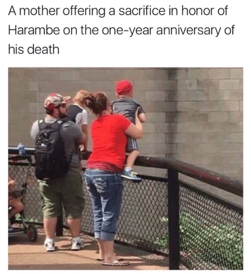 dattmeme's tweet photo. #RIPHarambe #HARAMBE #memes #meme #dattmeme https://t.co/FaPgOn3Cmq
