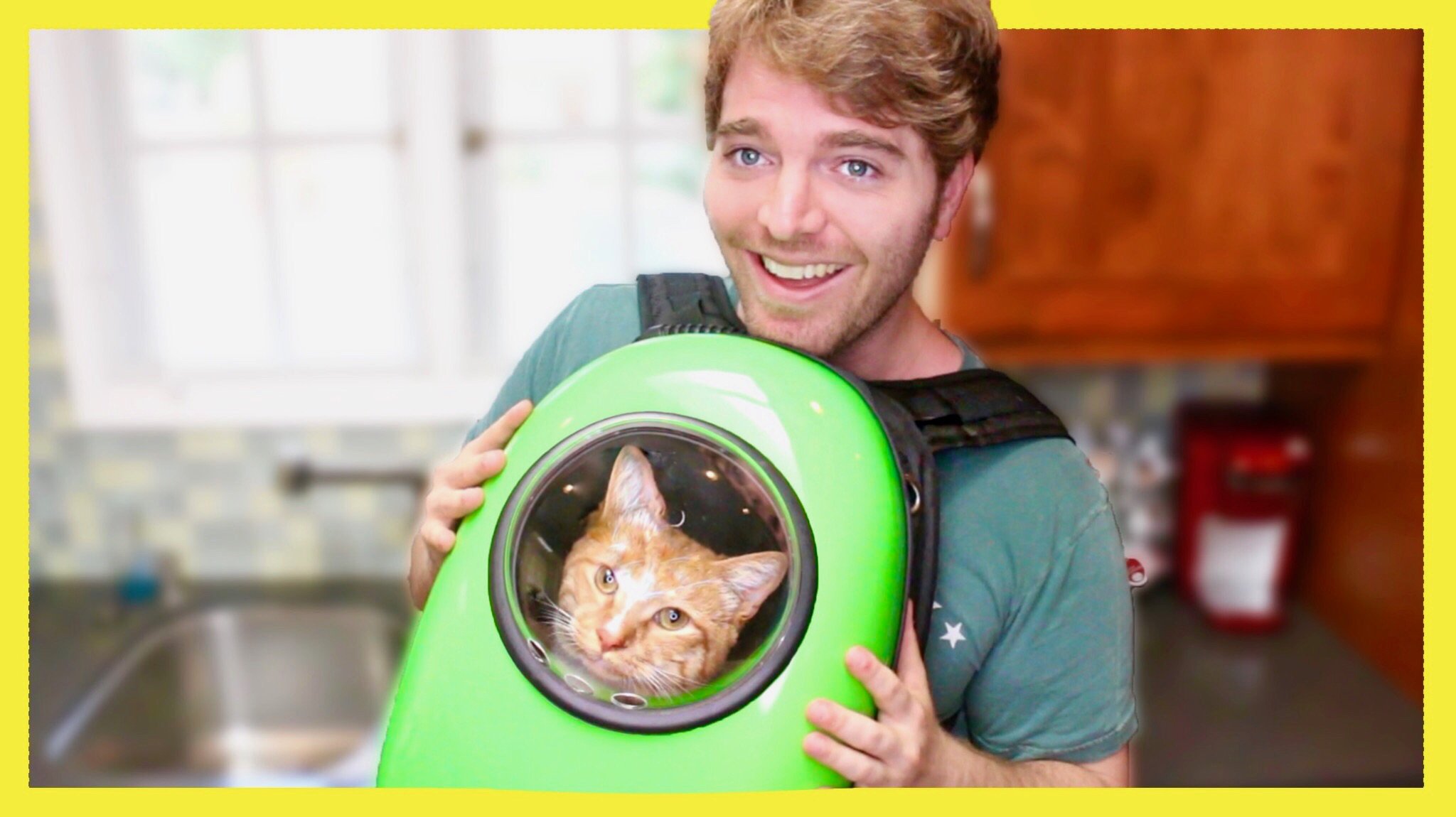 Shane Dawson on Twitter: "NEW VID!! **TESTING WEIRD CAT PRODUCTS 2
