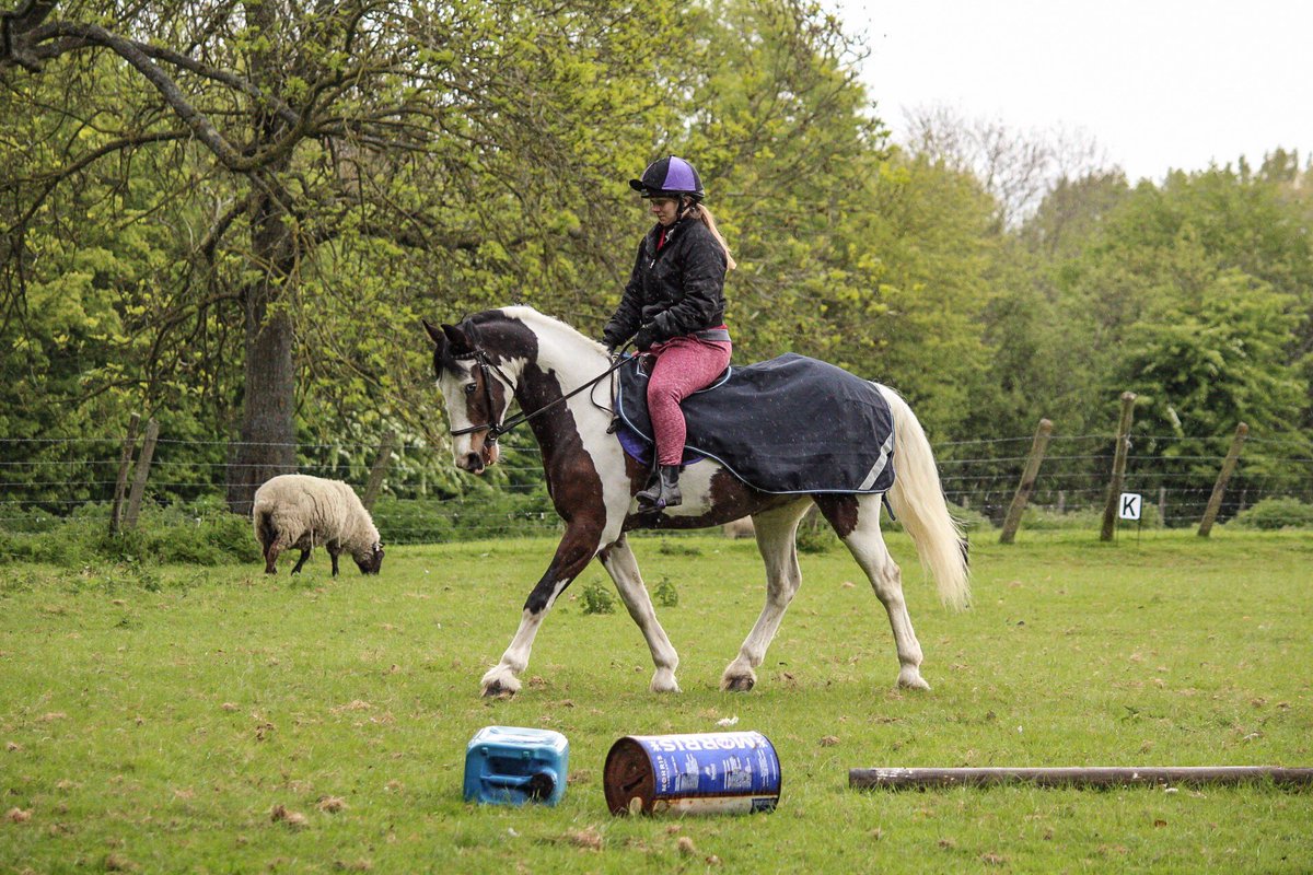 Who got soaked riding today? 🌧 Luckily I missed the downpours but the rain doesn't usually stop me 🐴 #DressageHour