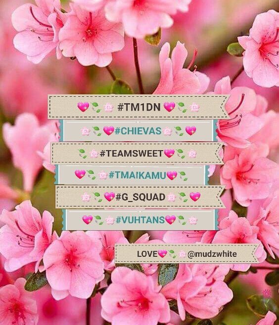 su1_t9's tweet photo. @mudzwhite_ @ELITE_LEGENDZ_ @vuhtans @TM1DN @DULCE_PASION__ @GigiFollows @1F_st @B_e_r_g_e_r_ @Stallion_Team #ELITELEGENDZ
#TMSTALLION
#TMSWEET
#VUHTANS
#G_SQUAD
#TeamAIKAMU
#CHIEVAS
#ＴＭ1ＤＮ
❤@mudzwhite_
❤@ELITE_LEGENDZ_
❤@Stallion_Team
❤@TM1DN❤ https://t.co/ylEIrjSbfb