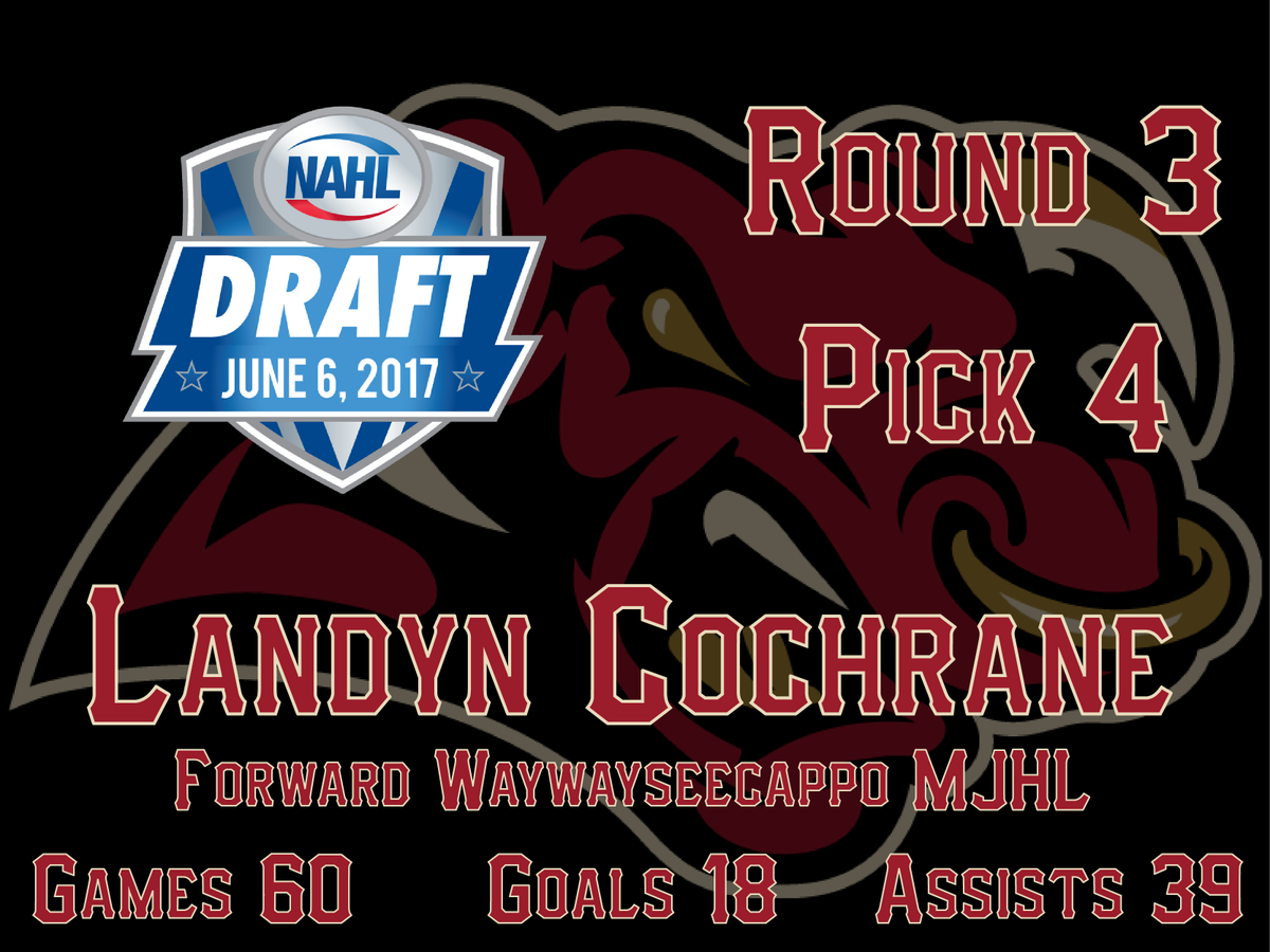 MinotauroHockey's tweet photo. With our second pick of the #NAHLDraft we've selected Landyn Cochrane! #JoinTheCharge https://t.co/UXFJebVcoD