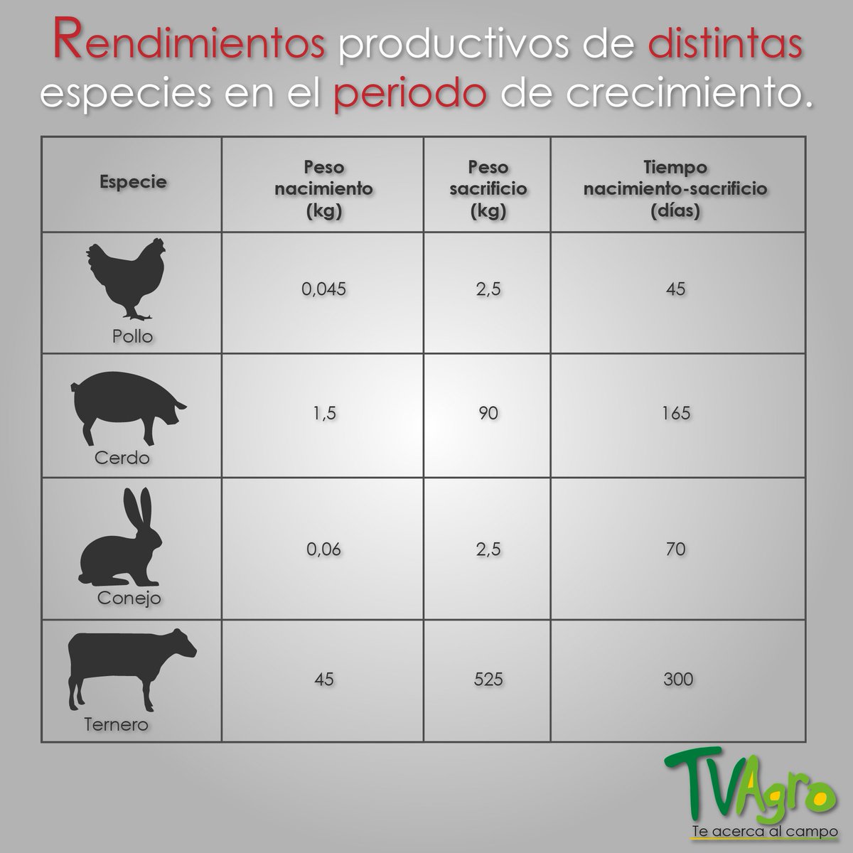 Canal Tv Agro tweet media