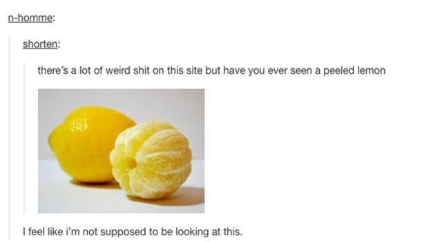 ohtumblroh's tweet image. 