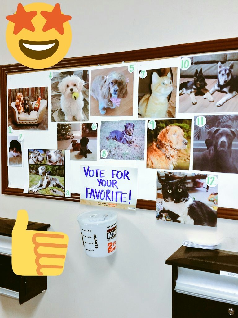 Cutest Pet Contest! Voting has started! #steelecreek #homedepot <a href="/eric_tweddle/">Eric Tweddle</a> @JoeBechtelTHD <a href="/antoinette0978/">Antoinette Zea Chavez</a>