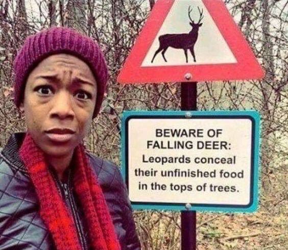 YouHadOneJ0B's tweet photo. But no warning about leopards? https://t.co/HWugLvWJIm