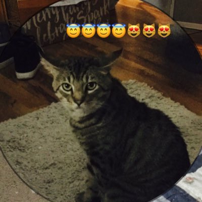 FutureShadow1's tweet image. #NewProfilePic