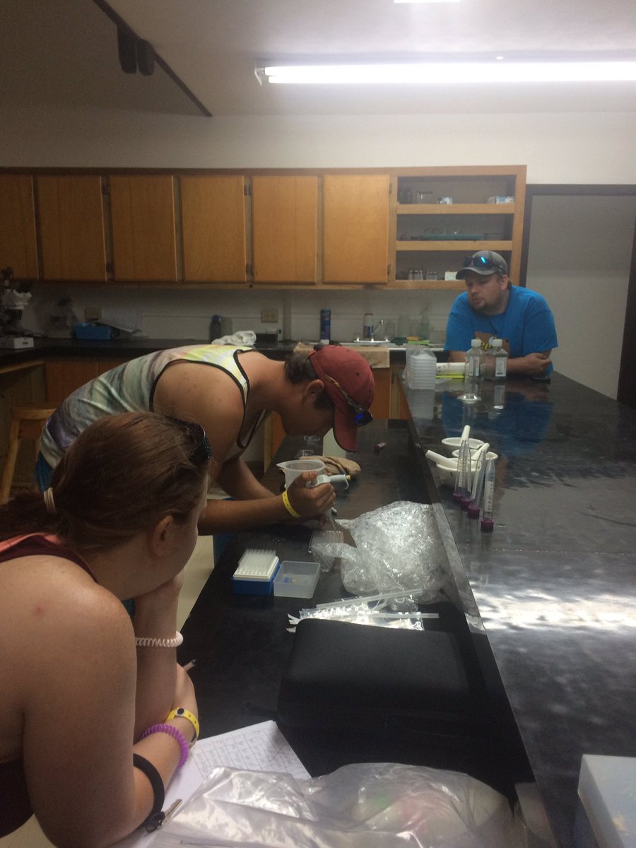 coraldoctors's tweet photo. More lab work after lunch. Plating PPO assays to incubate during our afternoon dive.  #coraldoctors #fieldseason https://t.co/XYZxyKP8FB