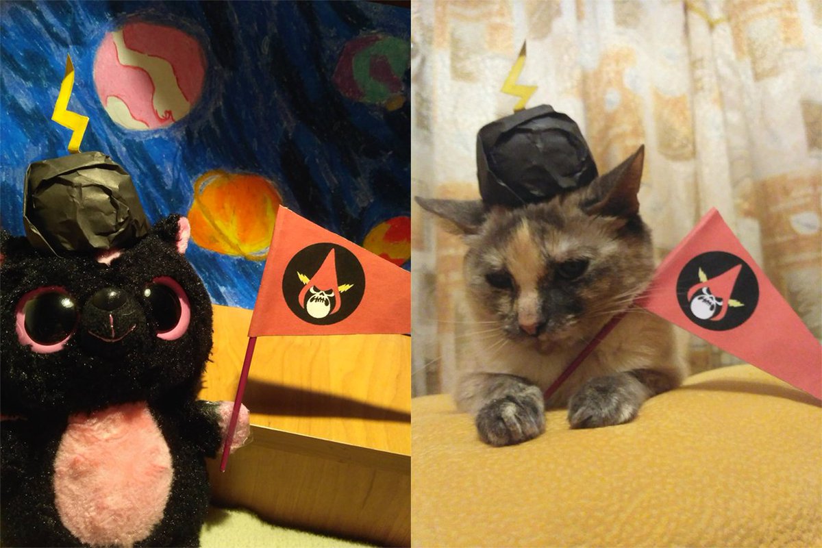 OperationFORCE's tweet photo. Валерия Савкина's feline comrades have also joined the invasion! #OperationForce  #WanderOverYonder https://t.co/z5nL1dcmeh