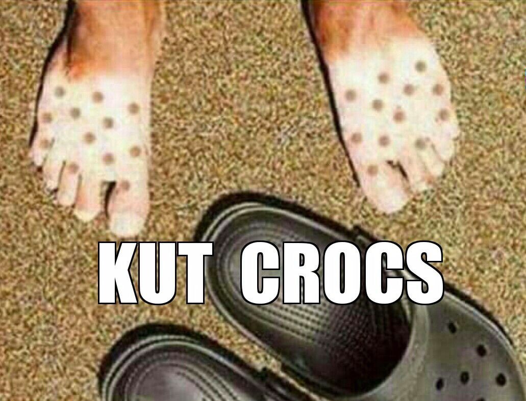 😂 #crocs #humor