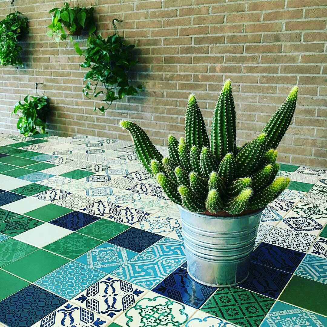 madeamanoitaly's tweet photo. MEDITERRANEAN VIBES with Lago kitchen and our tiles @madeamano #madeTerraneo
#lago #madeamano https://t.co/YiBOJglOWD