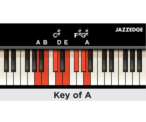 PianoWithWillie's tweet photo. Key of A #pianolessons https://t.co/HcqHgMNvn6
