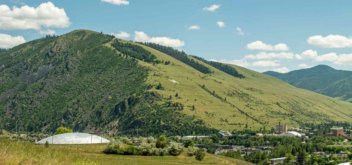 umontana's tweet image. The M Trail switchbacks up Mount Sentinel above the @umontana campus and the #Missoula Valley show off a full palette of spring greenery