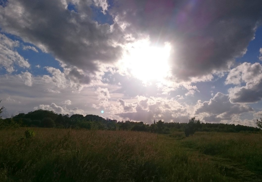 Verena_VIGLi's tweet photo. Abendlicht auf der #Springorum #Trasse #Bochum https://t.co/ETvwsF3JDg