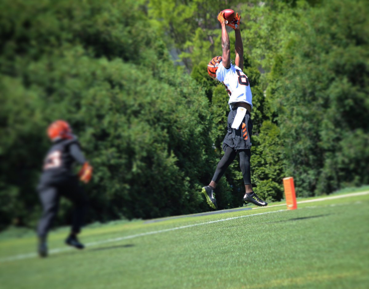 Going ⬆️! Making plays in OTAs! #Bengals50 https://t.co/66wFXifrwU
