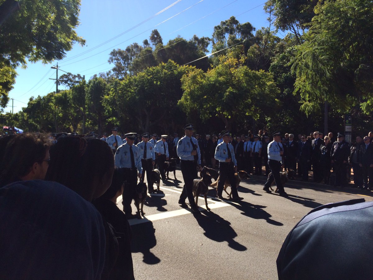 9NewsQueensland's tweet photo. 50 police dogs in procession  to honour Senior Constable Brett Forte. Coverage on @Channel9 and #9News online: https://t.co/WdZfsIHgtA https://t.co/vXMLHWFAMk