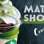 抹茶好きは必見!スタバの新作が抹茶づくしで歓喜の声多数!