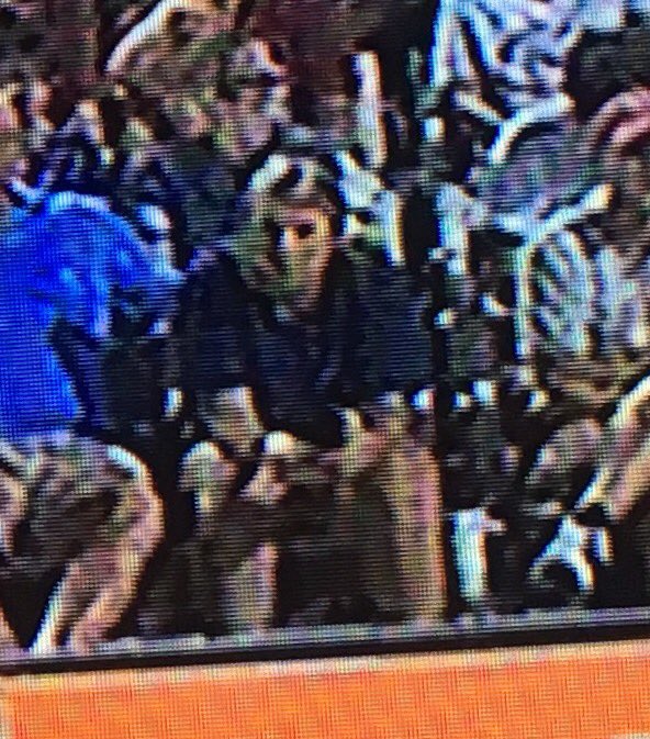1teamhhstigers's tweet photo. Our very own @NickiWhitten at the #WCWS. Prime time seats! #WhyNotUs https://t.co/q3xz5iqsFr