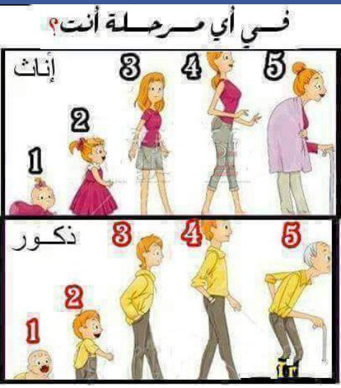 fucking__9's tweet photo. في اي مراحل انتم  🤔 https://t.co/6yLmycjeAF
