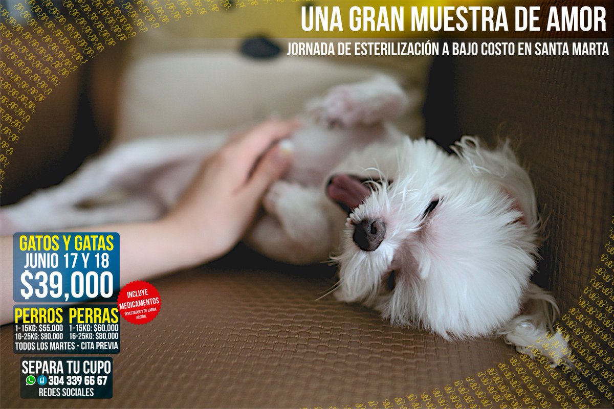 fmariposasa's tweet photo. Jornada de #esterilización a bajo costo jun 17 y 18,NUEVA UBICACIÓN, mas información 304396667 @SantaMartaTW @SMPositiva @1FundacionAMA https://t.co/D93do6U2yq