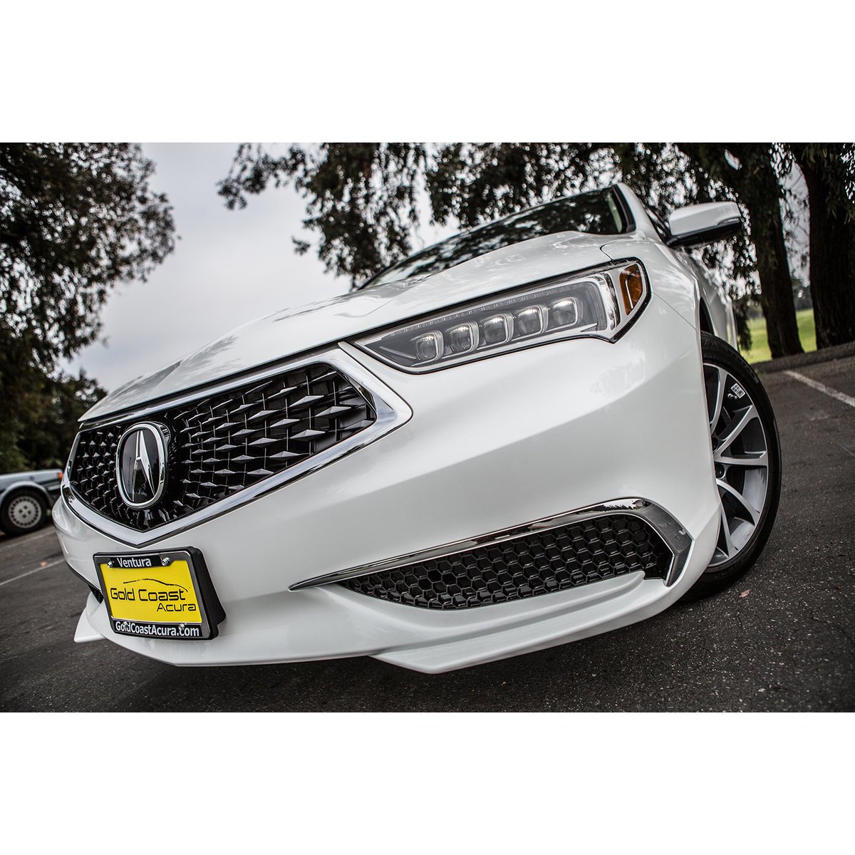 goldcoastacura's tweet photo. The New 2018 @Acura #TLX 

#goldcoastacura #ventura #venturalovesacura #Acura #Vtec #Luxury #newcar #2018TLX #TLXclubofamerica https://t.co/O87AkM0vta