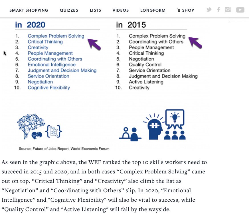 essay on website opinion example