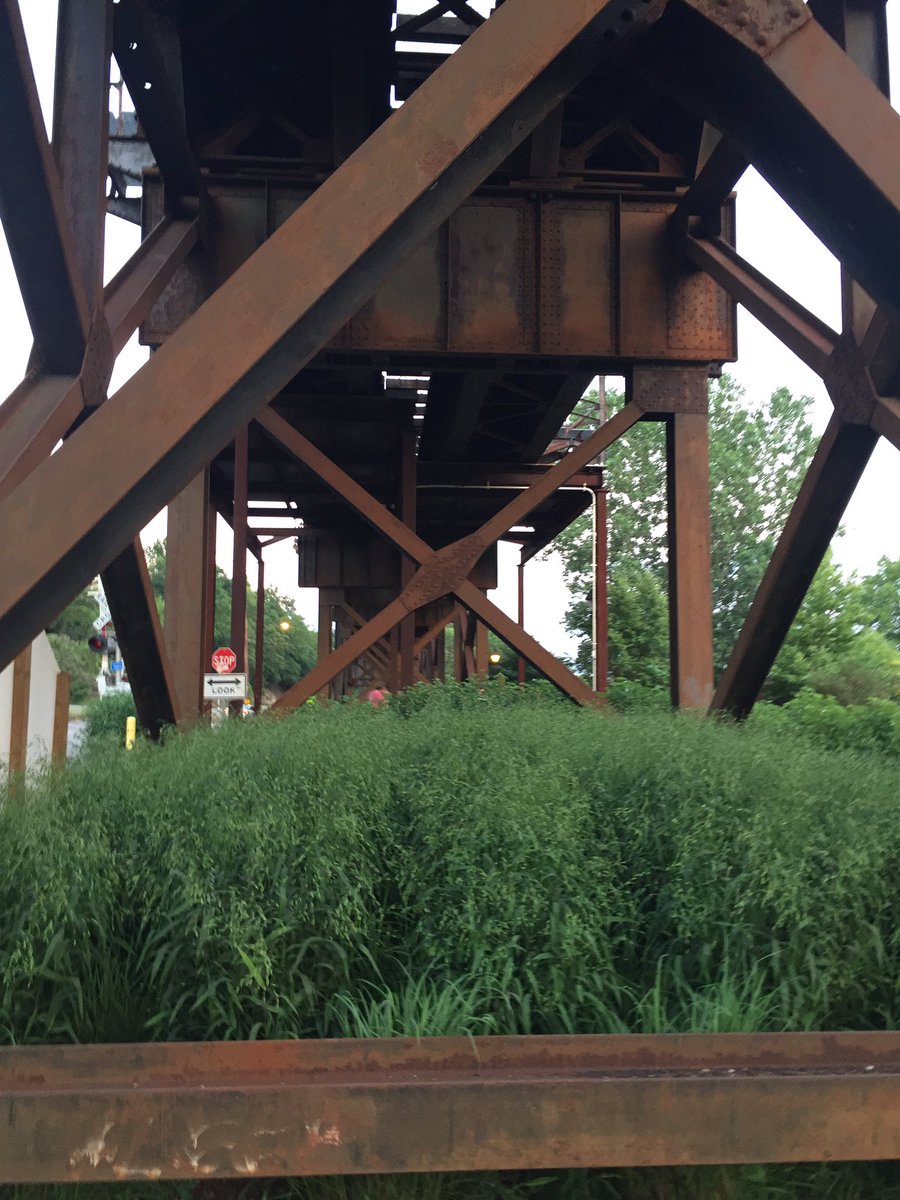 FirstLadyVA's tweet image. Thank you for these beautifully restored urban wetlands @CapitalTreesRVA #lowline #SummerNights
