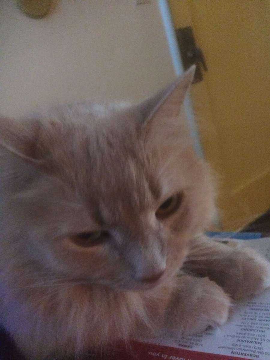 pushbandnw's tweet image. #push #pushband #emo #2piece #loops #pedals #gear #northwestemo #band #rock #drums #guitar #portlandmusic #sandiegomusic #ambient