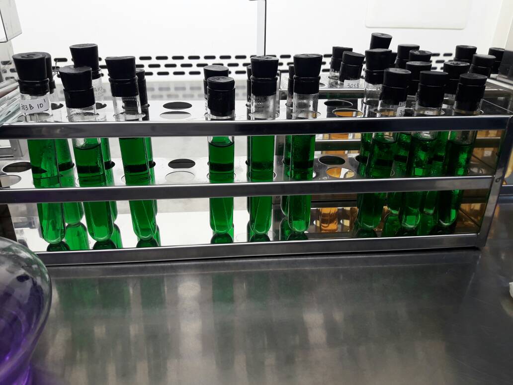 BadanMutuBaubau's tweet photo. #KerjaGembira uji profisiensi @buskipm  bidang bakteri salmonella sp. @HumasBKIPM @rinajanwar2201  @BKIPMBaubau https://t.co/v9hW8pUMbY