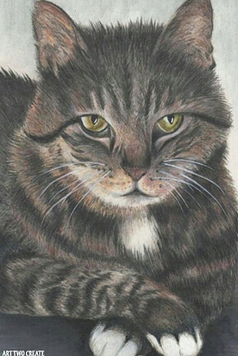 ArtTwoCreate2's tweet image. New artwork for sale! - "Posing For The Camera." - arttwocreate.pixels.com/featured/posin… @fineartamerica