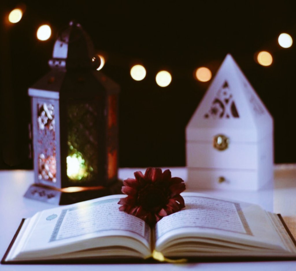 wa___fa33's tweet photo. ١٢ | رمضان🌙
اللهُم ‌عبوُر الصرَاط ‌المُستقيم ‌و زِحام الجنّة,والنظْر لوجهَك العزِيز.💙 https://t.co/A9Jy9otTUR