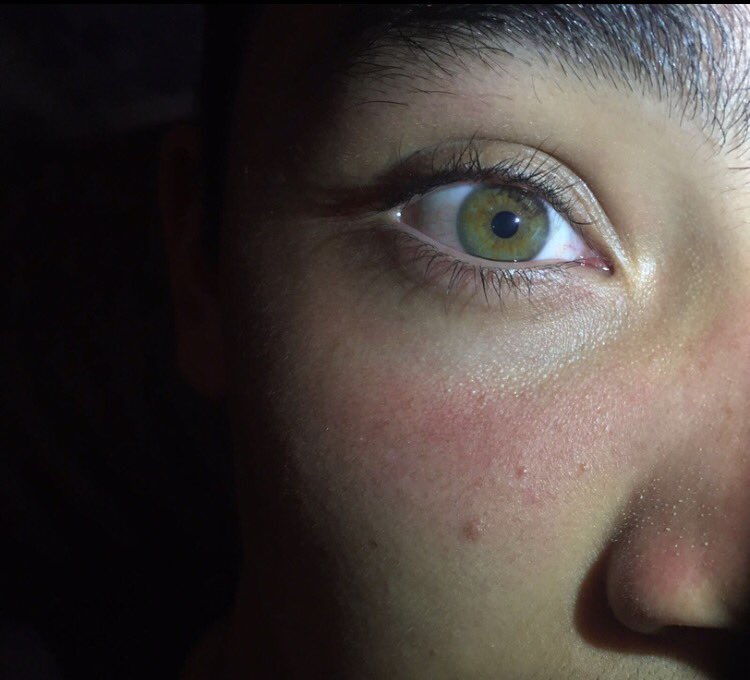 Sebastián Delgadillo tweet media