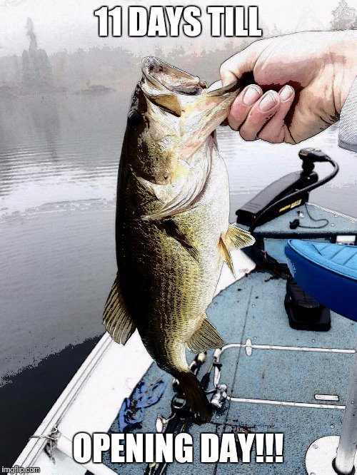 dblheaderbaits's tweet image. 