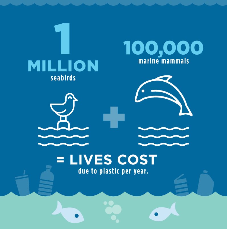 1 million seabirds and 100,000 marine mammals die due to plastic every year. #SaveOurOcean   oceanconference.un.org