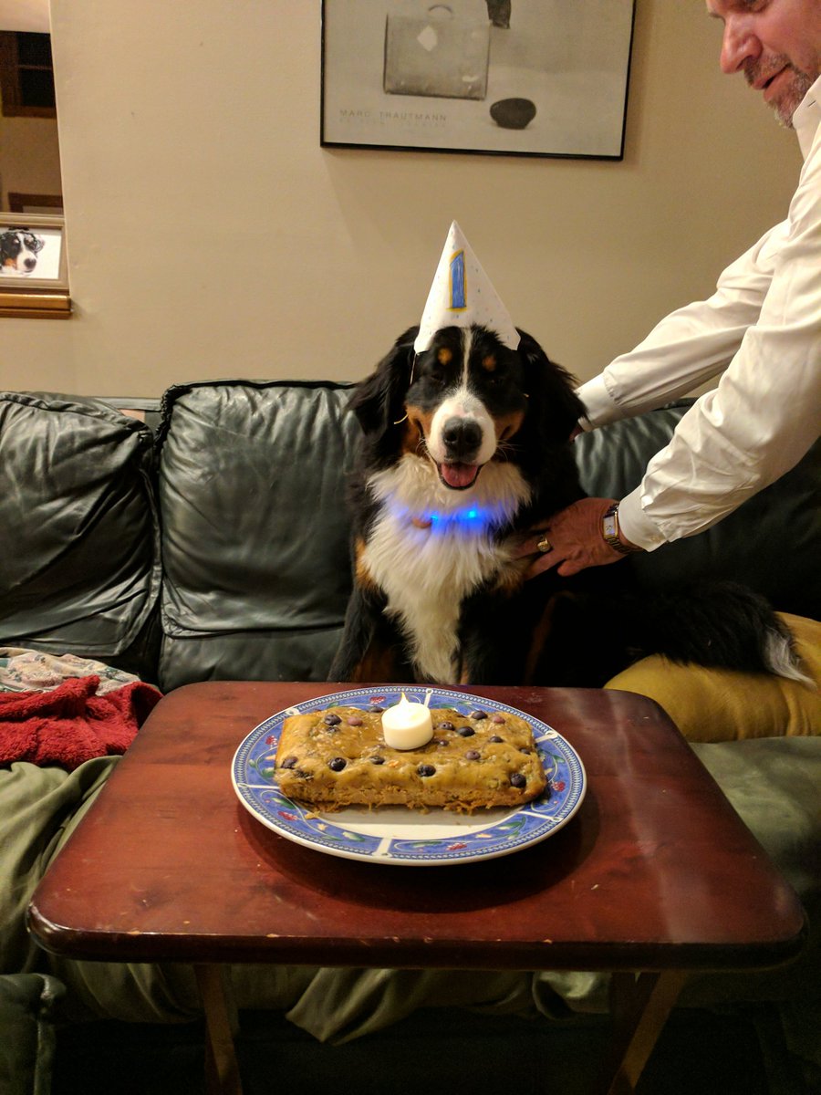 lsunderlin's tweet photo. Appa liked his birthday cake https://t.co/q2Y1htNwBZ