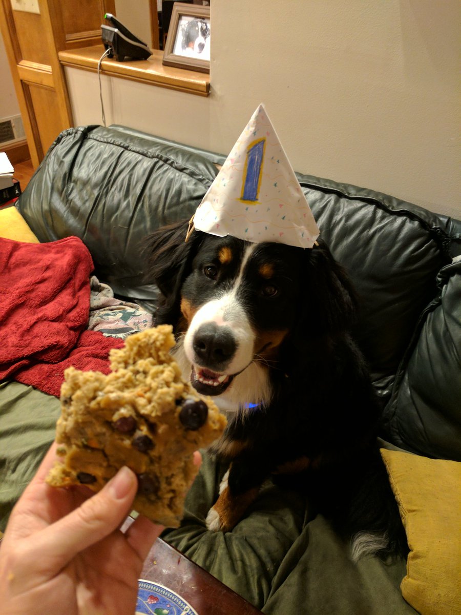 lsunderlin's tweet photo. Appa liked his birthday cake https://t.co/q2Y1htNwBZ