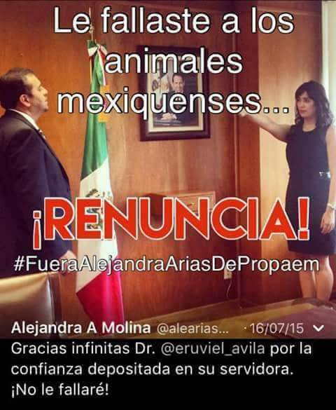 alezazulyoro's tweet photo. Basta de Maltrato @prensaanimal4 @Buscando1amigo @Laura_Lorena17 @ElMuro_AC @DefAnimalMX @SinEmbargoMX @EugenioDerbez  @SylviaPasquel https://t.co/CuaLckD19n