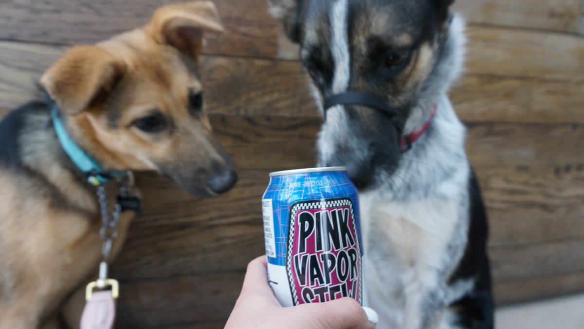 hoplightsocial's tweet photo. The #puppies are just as excited about @skabrewing first canned #ModProject as we are! π»π #hoplightsocial #skabrew #pinkvaporstew #sdbeer https://t.co/AfhXThMHBN