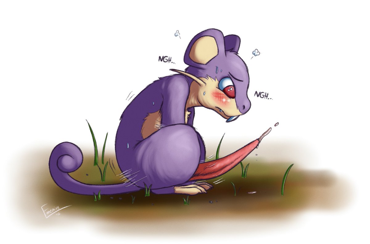 InTheTopPercent's tweet image. "D-D'ah jeez..."

🔝 Ray the Rattata!
－ Not new to anything!
🔝 Bisexual
－ Male Pref.
🔝 Switch
－ Usually Top.

🔝 Feral. (Anthro opt.)
－ RT!