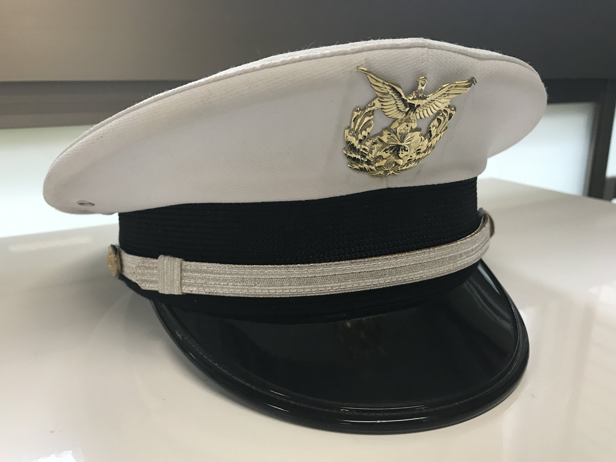 親衛隊　制帽 防衛大学校儀仗隊 on X: 