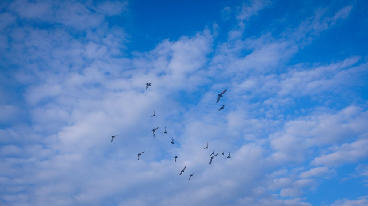Migrating to Public Clouds – On the increase for Enterprises! htl.li/BASq30cmM3u #Cloud #CloudMigration