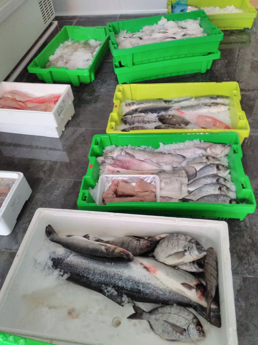 miradndcompras's tweet photo. #Pescadería El Pedreru preparando la jornada, listos para ofrecer calidad entre sus profes0res https://t.co/NYv4ry8ycs