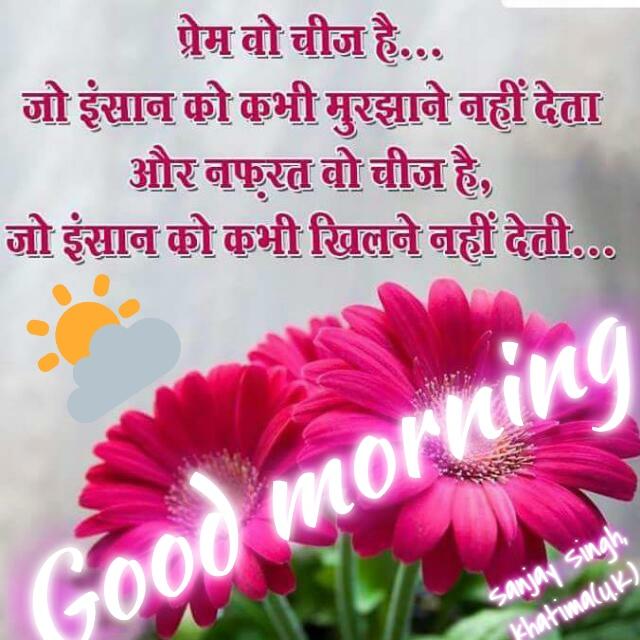 GaganDe30455806's tweet image. #FunSessionWithFDD