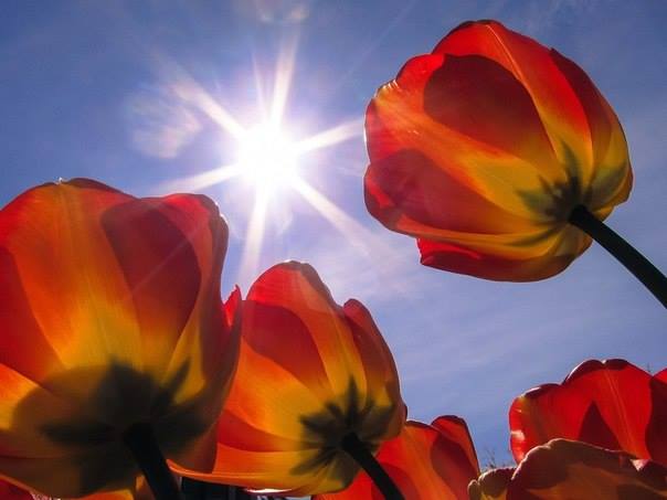 <a href="/angelicagallegs/">🇧🇷 ♫J.Angelica G. Gallegos♫🇧🇷</a> <a href="/vuhtans/">Rumeli Tekfuru</a> <a href="/LaurenVictorita/">LAUREN VICTORITA 방탄소년단</a> <a href="/aLAURA2015/">ℓαυяα❤#ᵀᴹ¹ᴰᴺ#ᴹᴳᵂᵛ</a> @Chuca_85 <a href="/TM1DN/">Diana</a> @HotSonna1 <a href="/LilianaRicci4/">Liliana Ricci</a> @SophiaKamy @am102358 @mudzwhite_ <a href="/lv4gab/">Gaby</a> <a href="/Blondy_Oficial/">BLONDY AK OFICIAL</a> <a href="/omniajen/">ʝąʑ🌷</a> <a href="/__Renaldy/">balogun</a> @Michael2017sd <a href="/A_T1DN/">lคยгค💙#t๓1๔ภ #๓ɠฬv</a> <a href="/nu_vision_quest/">🦅nu_vision_quest🏹</a> <a href="/Daisypricess028/">💕 Daisy 💟 LOVE #LV 💕</a> <a href="/SiscoMGWV/">🔶️Sisco #1DDrive 113k🔶️</a> @TIERNA_PASION__ <a href="/Quinnqueens/">Quinn 💛(G.Quinn Rogers)</a> <a href="/Silau25/">♡Silvia♡</a> <a href="/666_alhlwan/">🇸🇦🌴🆇𓃵💛MBS #Saleh666 MBS 🖤𓃵🌴🆇 🇸🇦</a> <a href="/LauraTM1DN/">Lªµ®ª💙#էო1ժռ #ოցաν</a> @RaisAlGhousia <a href="/QuIcKsIgN2/">✝️대한민국 @QuIcKsIgN2✝️</a> <a href="/kleinslag/">⭐️Ꮩ̼̐͜͡Ꮠ͋͢Ꭾ•ღ🅹🅰🅽ღ•ℳ Ꮆ Ꮗ Ꮙ•ღ</a> <a href="/Stallion_Team/">Frankie * Stallion Gains *</a> @ELITE_LEGENDZ_ <a href="/GigiFollows/">#GAIN❤#MGWV#G_SQUAD</a> <a href="/LiliBodo/">🌸.•° Lily #TMLILY °•.🌸#MEL_LILY</a> <a href="/SalvOasi/">L’Oasi di Salvo</a> <a href="/vivaciousStar2/">𝒥ℯ𝓃𝓃𝓎࿐🦋</a> @OptimumNaturae <a href="/GigiTFB/">God 1st#G_SQUAD#MGWV</a> <a href="/KedmaHelena1/">💕KédmaHelena1💕</a> <a href="/BadassK237/">✨ Ness ✨</a> <a href="/koji2530112/">Ivan Lendl Fan #MGWV</a> #TM1DN 
#CHIEVAS 
#VUHTANS