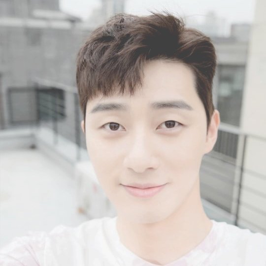 hallyupacks's tweet photo. 🌿park seo joon twitter layouts🌿
- 2 icons + 2 headers
- rt if saving/using https://t.co/HzBJkP1DtV